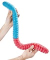 World's Largest Sour Gummy Worm
