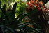 Ambient Sleep DVD image
