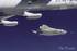 Ambient Space DVD image