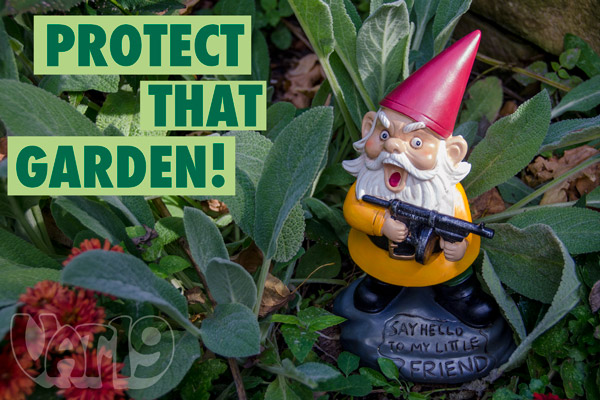 Angry Garden Gnome resting in a beautiful garden.