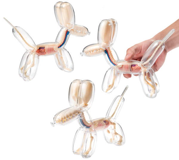 Freeny balloon dog skeleton