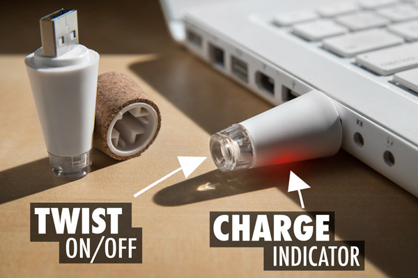 Insert the Bottle Light into any powered USB port to recharge it.