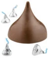 Giant Hershey's Kiss