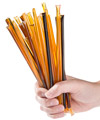 Glorybee Honey Stix