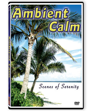 Ambient Calm DVD