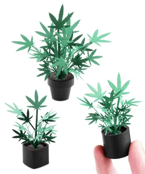 Roll Your Own Weed Plants Kit