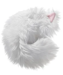 The Not-a-Cat Cat - White