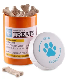 Rx Bottle Pet Treat Jar