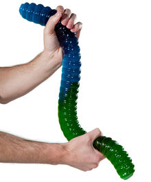 Giant 3-Pound Gummy Worm - Blue Raspberry & Green Apple