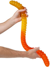 Giant 3-Pound Gummy Worm - Lemon & Orange