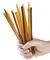 Glorybee Honey Stix