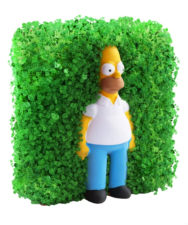 Homer Chia Pet