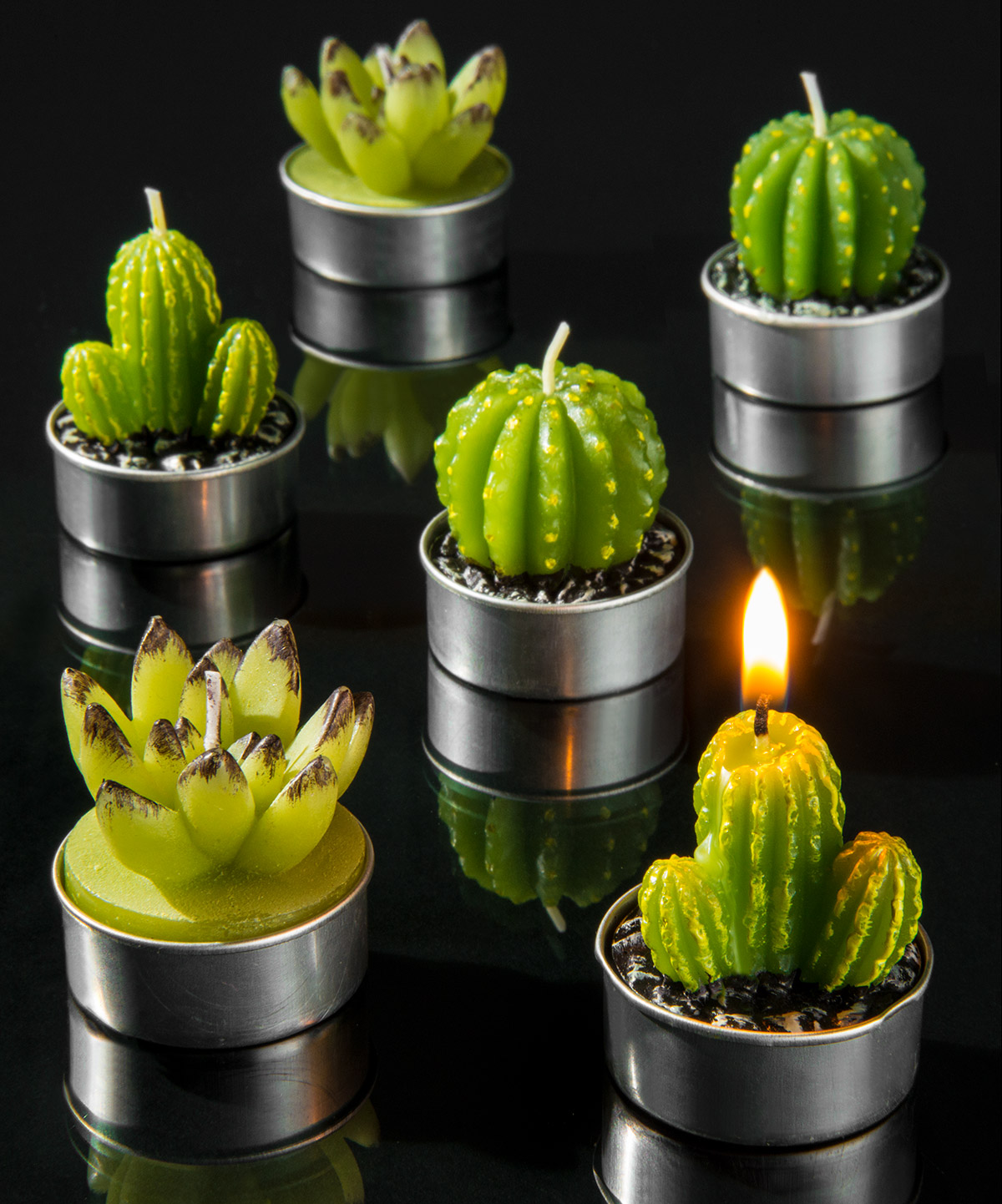 Cactus TLight Set Set of six tea lights styled like cactuses.
