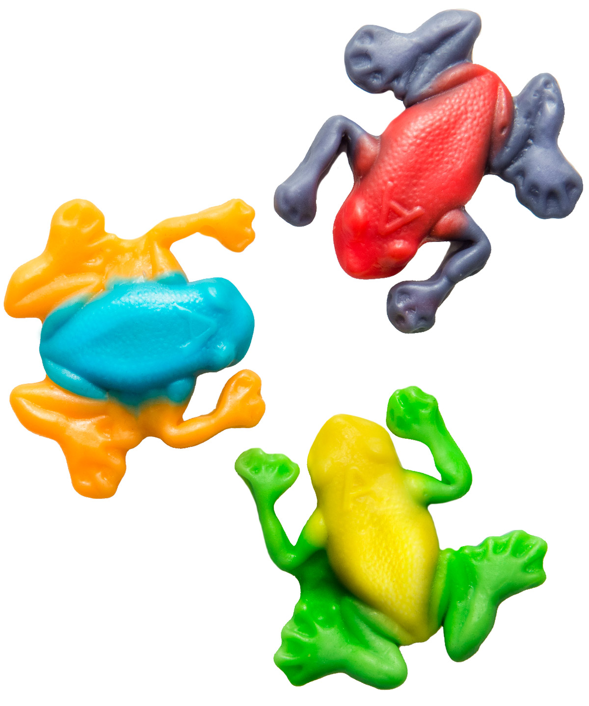 Gummy Tree Frogs Five pounds of flavored gummy rainforest frogs.