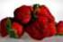 Cooking with Aphrodisiacs DVD image