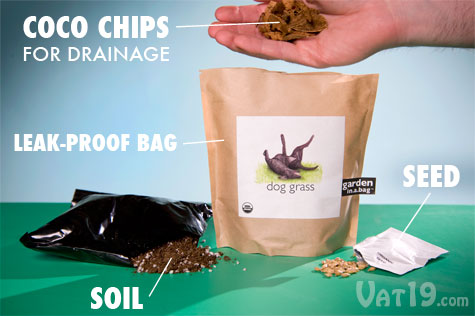 The Garden in a Bag includes everything you need to grow your own dog grass and cat nip.