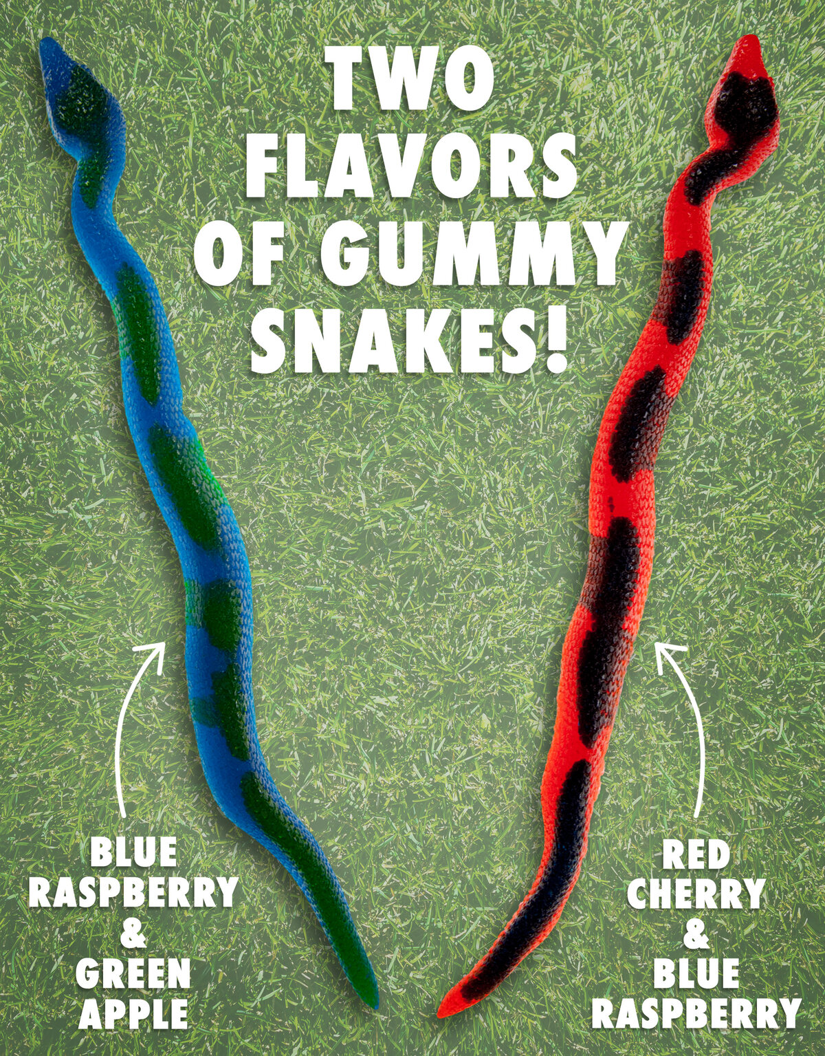 Choose from a wide variety of Giant Gummy Snake flavor combinations.