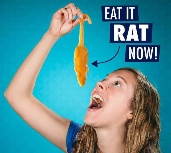 Gummy Rat Deliciously gross gummy rodent.