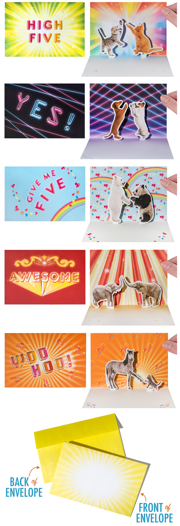 The note cards come in five styles, each with a sunburst envelope.