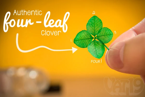 Four Leaf Clover: Real 4-Leaf Clover in a Bottle