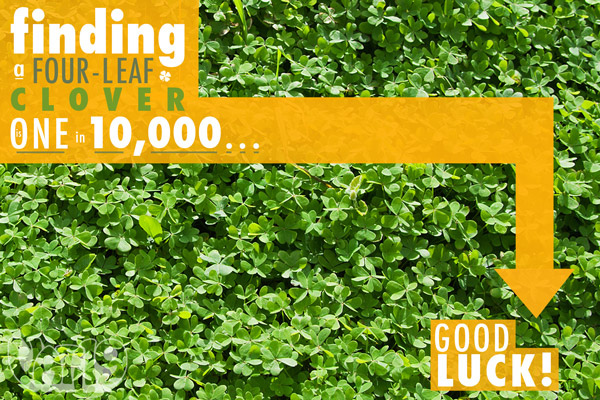 Four Leaf Clovers are 1 in 10,000 in the wild.