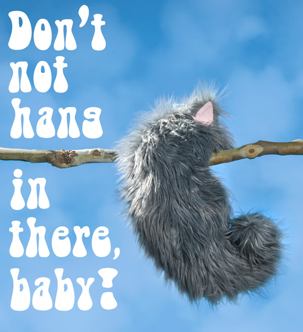 An inspirational Not-a-Cat Cat hangs from a tree