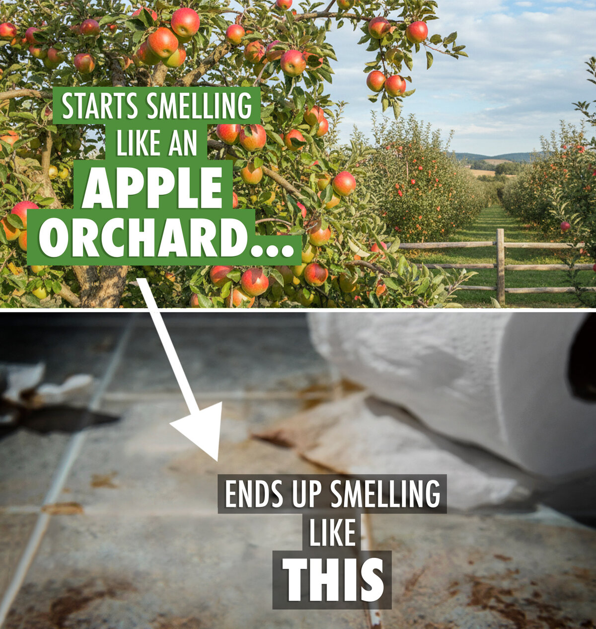 The Stank Prank Candle is a disguised “gotcha” gift.