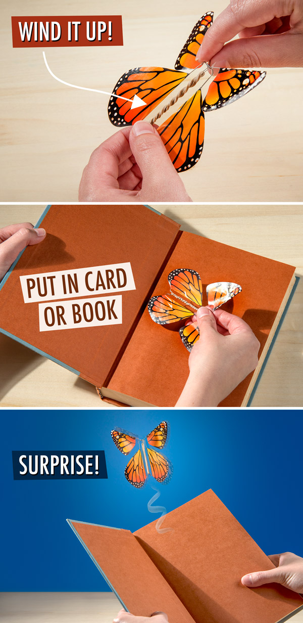 The Magic Butterfly: A flying surprise for your greeting cards.