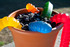 Giant 3-Pound Gummy Worm image