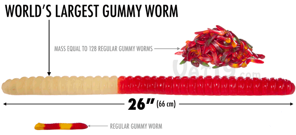 download biggest worm in the world